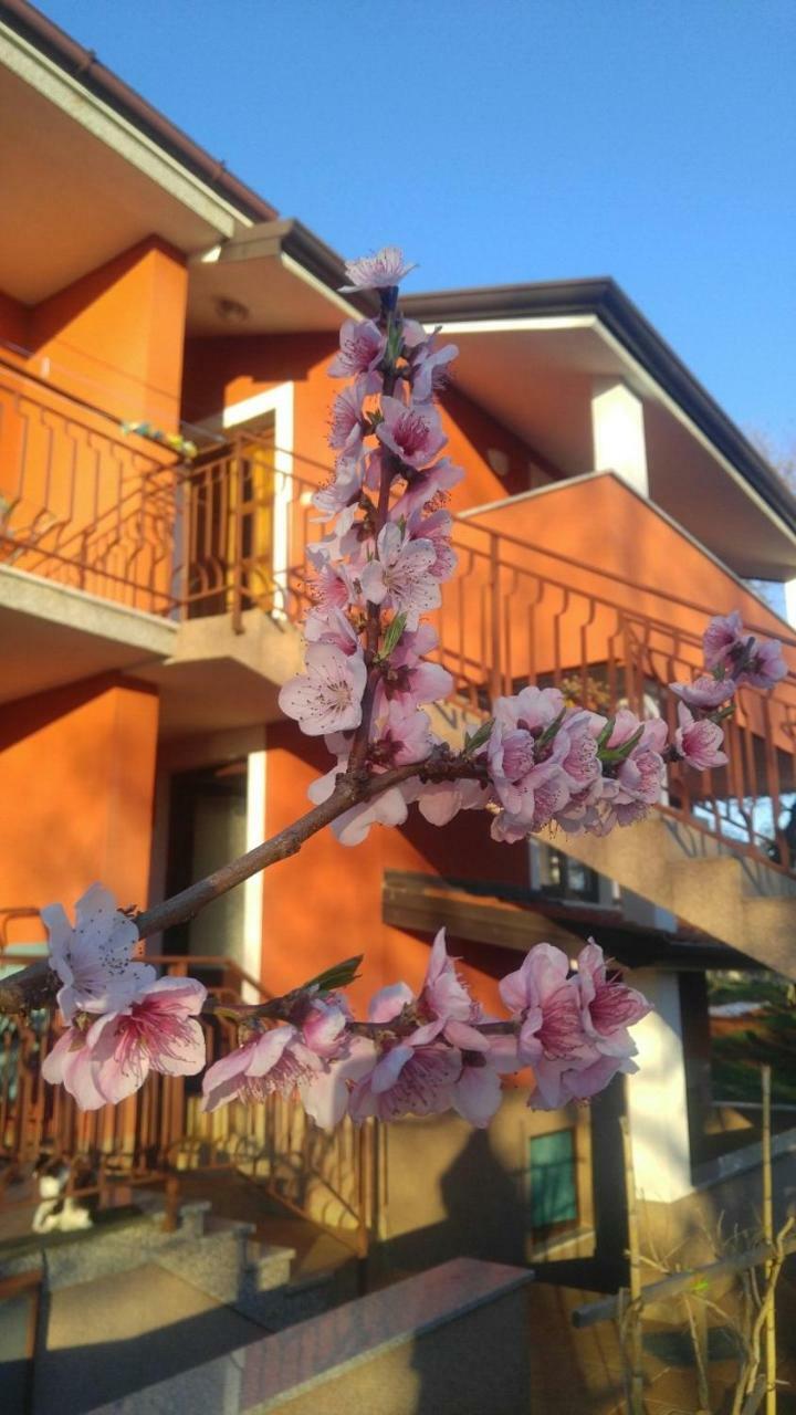 Apartman Zita *